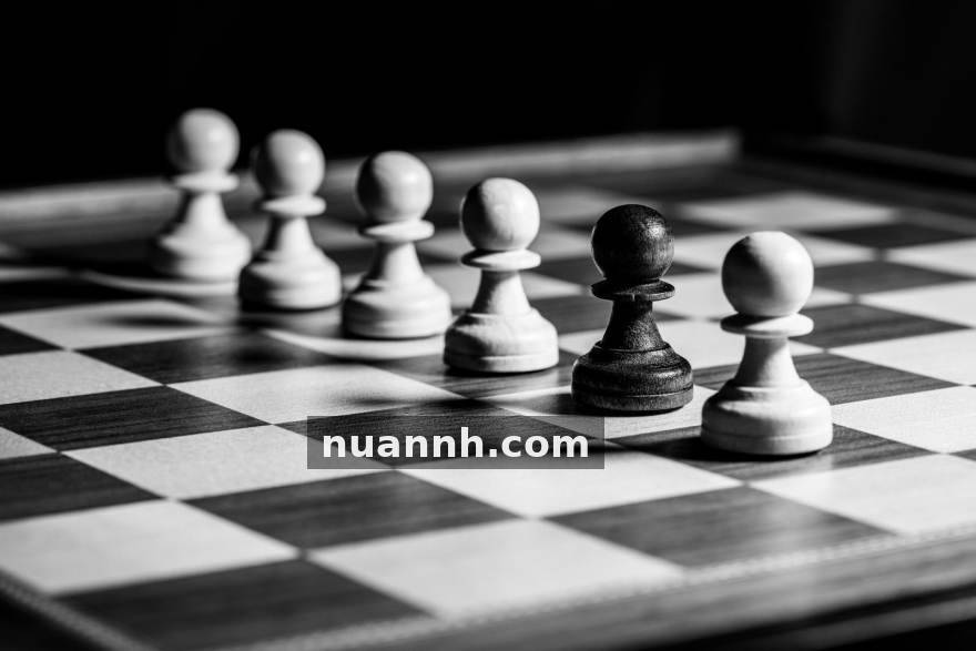PG贵宾厅麻将胡了版本合集服务配图